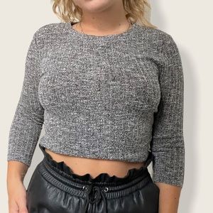 Forever 21 Long sleeved Cropped Top